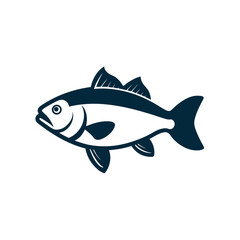 Sea Bass With Vector Outline Drawing