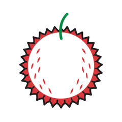 Rambutan With Vector Outline Illustration
