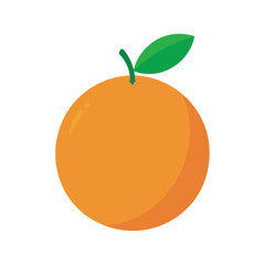 Orange With Vector Outline Illustration