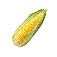 Fresh Sweet Corn on the Cob, Isolated on Black Background