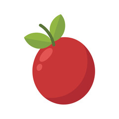 Cranberry With Vector Outline Illustration