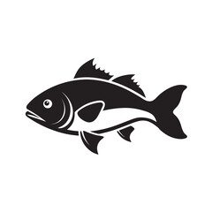 Barramundi With Vector Outline Illustration