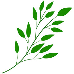 Green Leaves Vector