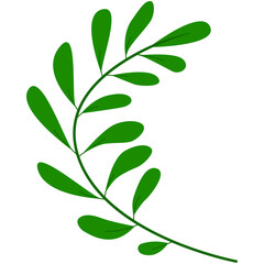 Naklejka premium Green Leaves Vector