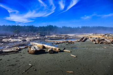 2025-02-28 THE IVERSON TRAIL PRESERVE WITH A SNAD BEACH AND DOWNED DRIFT WOOD AND A MORNING FOG HANGING  OVER THE AREA AND A BLUE SKY WITH LIGHT CLOUDS ON CAMANO ISLAND WASHINGTON