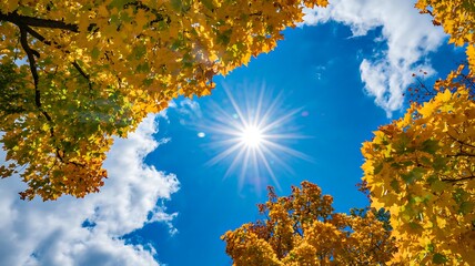 Bright sun shining through colorful autumn tree leaves with blue sky background
