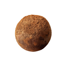 Fototapeta premium Gourmet Chocolate Truffle, Cocoa Powder Coating, Close-up Studio Shot