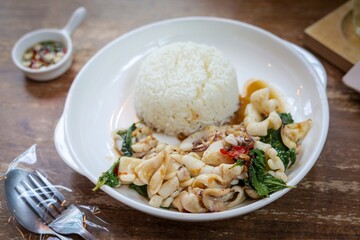 Rice topped with stir fried Thai basil with Squid , pad ka praow	
