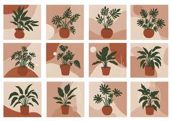 palm trees seamless pattern