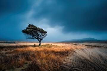 Dramatic Landscape Featuring a Lone Tree Against Moody Cloudy Sky and Golden Grass