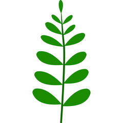 Green Leaves Vector