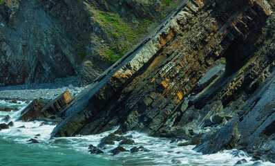 Carboniferous Geology Display.