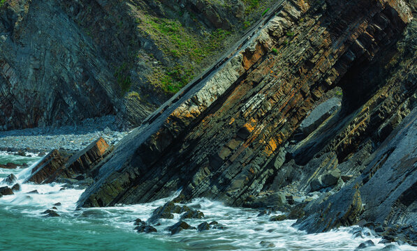 Carboniferous Geology Display.