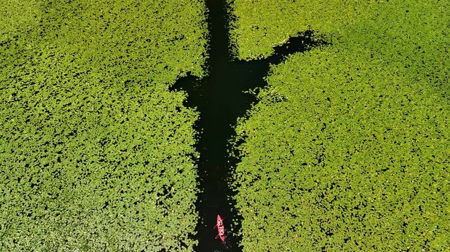 Aerial view of Rijeka Crnojevica between mountains flowing into Skadar Lake, Montenegro. People kayaking on beautiful river. 