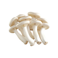 Fresh White Oyster Mushrooms Close-Up
