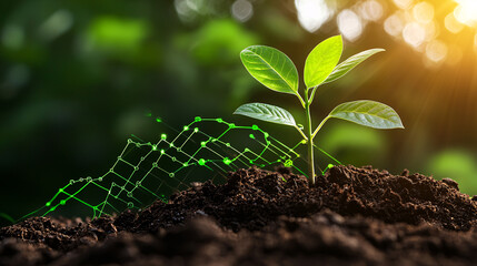 New plant growing from soil with green technology network showing business growth and environmental concept.