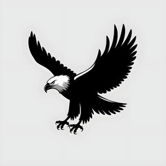 Obraz premium bald eagle vector illustration