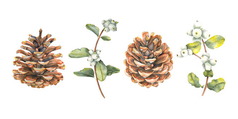 Obraz premium Watercolor illustration of brown pine cone and snowberry branch with green leaves set painted in a realistic style. Ideal for Christmas and winter holiday designs gift packaging cards and home decor