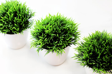 Three white pots with artificial grass. Grass for home decor.
