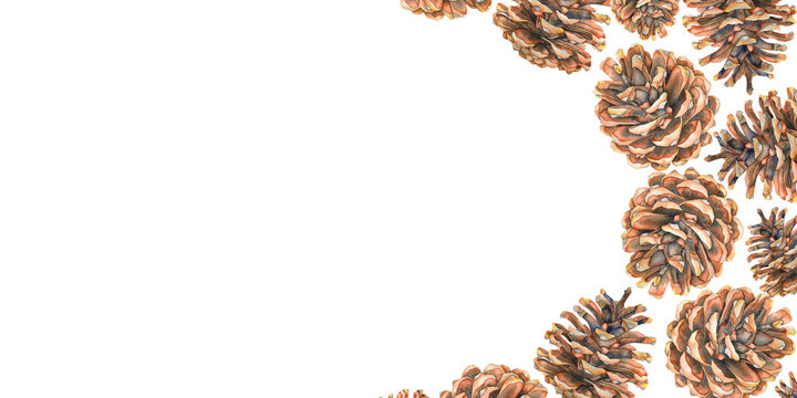 Watercolor illustration of a brown pine cone with warm autumn tones banner painted in a realistic style. Perfect for Christmas designs, winter and fall decor, packaging, cards, and seasonal products.