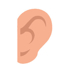 Ear anatomy human body 