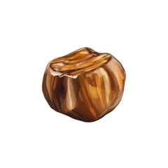Single Roasted Chestnut, Close-up Studio Shot