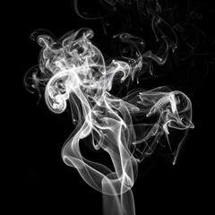 Obraz premium Abstract White Smoke on Black Background