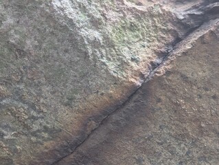 Crack in a rock