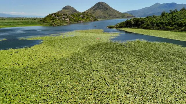 Aerial view of Rijeka Crnojevica between mountains flowing into Skadar Lake, Montenegro. People kayaking on beautiful river. 