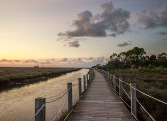 Hiking way on wooden platform, among a bay and green forest, on background of sky with clouds, national park , pedestrian paths of Aveiro Portugal