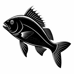 fish vector illustration