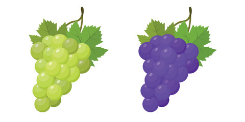 Set of vector images of ripe blue and green grape branches with leaves Grape icon on a white background