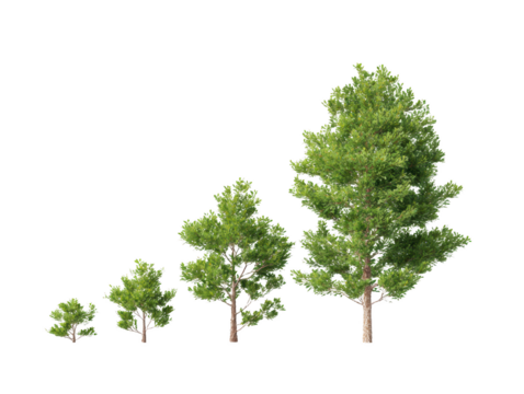 An inspiring image of a growing tree, representing growth, progress, and development. Capture the stages of life, conveying the idea of growth and life.