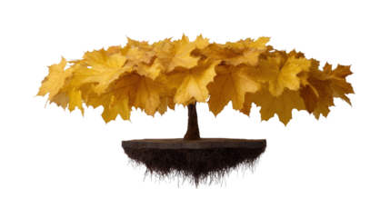 A tree with lush golden foliage floats in the air, evoking an enchanting atmosphere, with its base floating independently.