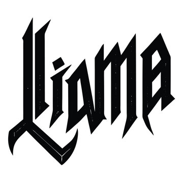 liama vector
