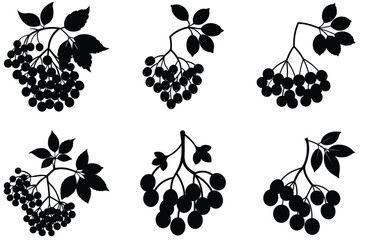 Silhouette Collection Six Berry Branches with Leaves