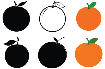 Orange Fruit Illustrations Vector Set of Black, White, and Orange Oranges