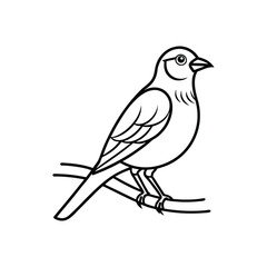 bird line art illustration perched, bird line art vector icon