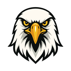 Fototapeta premium bald eagle vector illustration