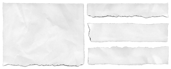 Pieces of torn paper with detailed ripped edges carefully isolated for cliparts.
