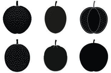 Jackfruit Illustrations Silhouette Set of Whole and Halved Jackfruit