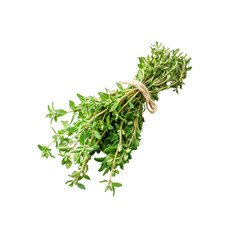 Fresh Thyme Sprigs Tied with Twine