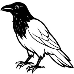 Raven Ink line art vector