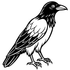 Fototapeta premium Raven Ink line art vector
