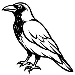 Raven Ink line art vector