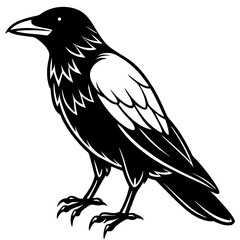 Raven Ink line art vector