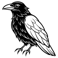 Raven Ink line art vector