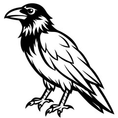 Raven Ink line art vector