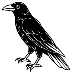 Fototapeta premium Raven Ink line art vector