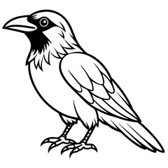 Fototapeta premium Raven Ink line art vector